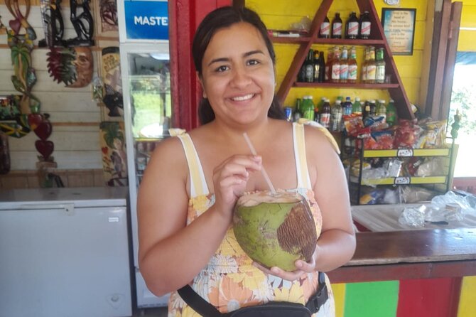 Private Blue Hole Secret Falls with Shopping from Montego Bay - Who Will Enjoy This Tour?