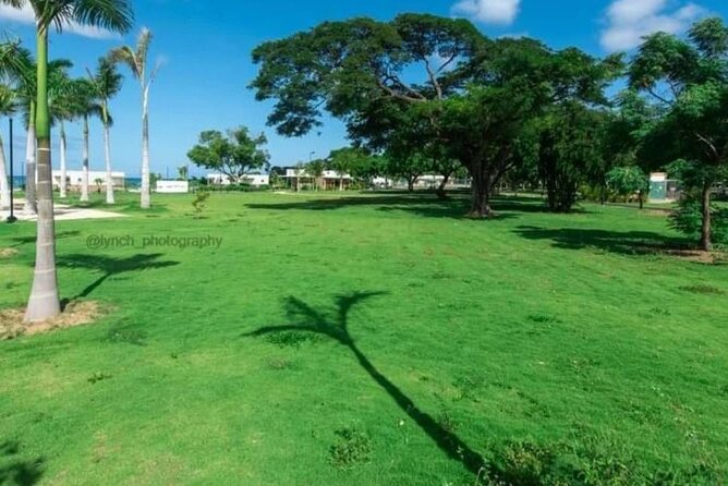 Private Beach Day and Street Food Tour from Montego Bay - An Authentic Taste of Montego Bay: Private Beach Day & Street Food Tour