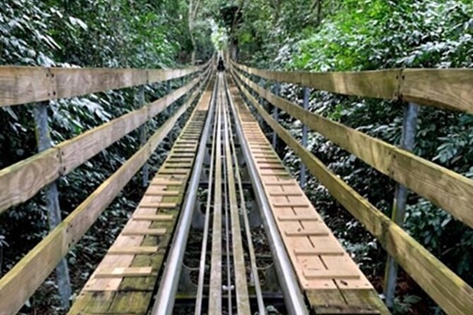 Private Excursion to Mystic Mountain and Dolphin Cove - The Sum Up: Is It Worth It?