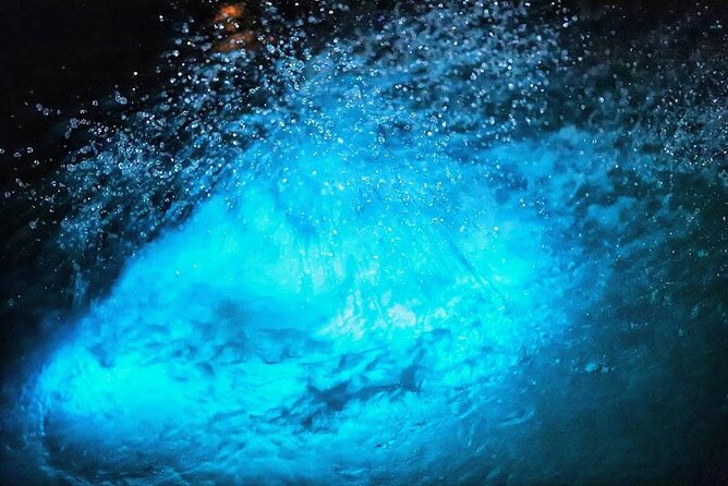 Night Excursion Experience at Luminous Lagoon - Who Will Love This Tour?