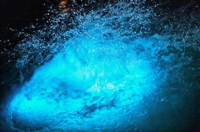 Night Excursion Experience at Luminous Lagoon - FAQ