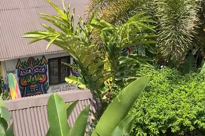 Half- Day Private Bob Marley 9 Mile and Dunns River Falls Tour - Exploring the Tour: A Step-by-Step Breakdown