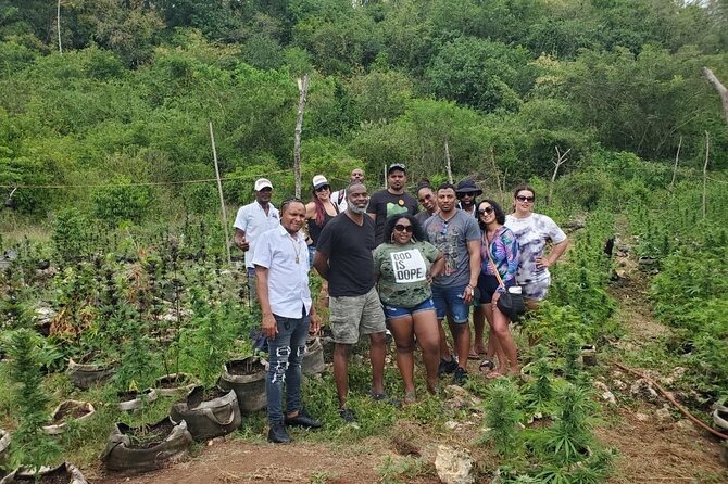 Montego Bay Private Transfer - Frequently Asked Questions