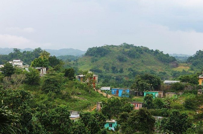 Private Tour Day-Trip Nile mile Bob Marley House With Admission - FAQ