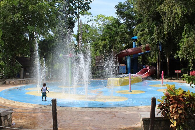 Dunn's River Falls Tour - The Journey: Transport, Timing, and Group Size
