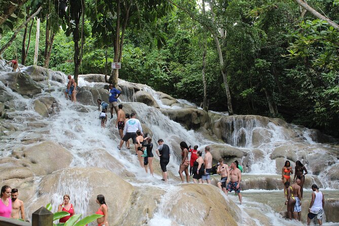 Dunn's River Falls Tour - FAQ