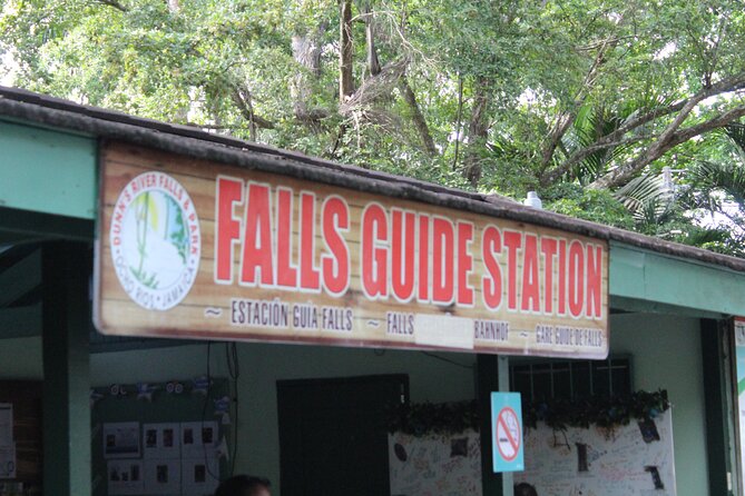 Dunn's River Falls Tour - Who Should Consider This Tour?