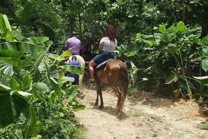 Private Tour to Dunns River and Horseback Riding with Local Guide - Key Points