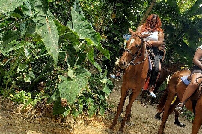 Private Tour to Dunns River and Horseback Riding with Local Guide - FAQ