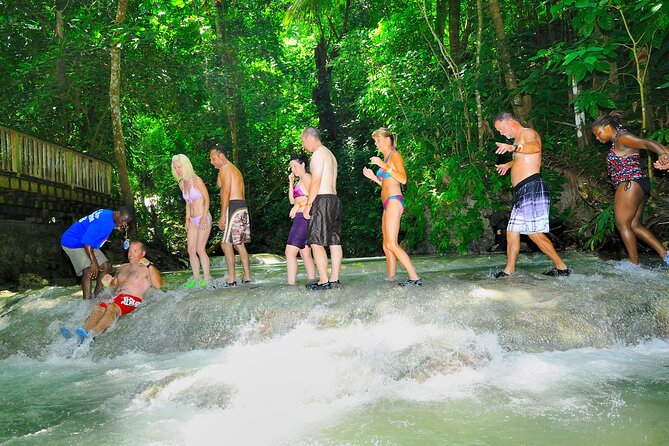 Private Round Trip Transport to Dunns River and Blue Hole - A Detailed Look at the Experience