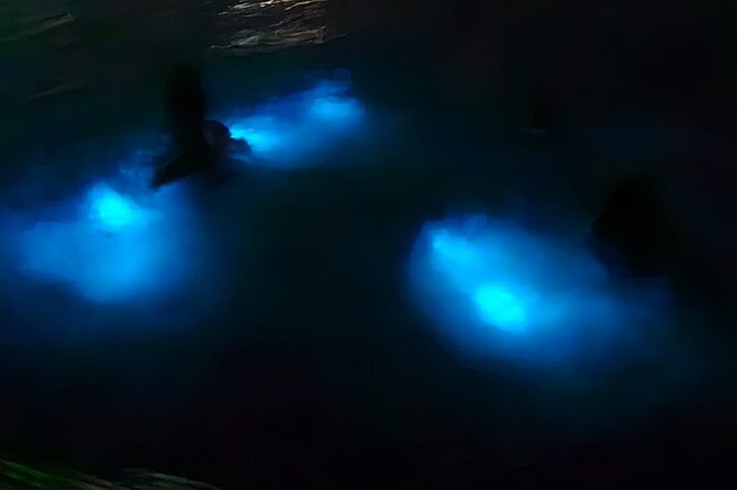 Luminous Lagoon Night Tour and Swim/Fire Dance from Montego Bay - Key Points