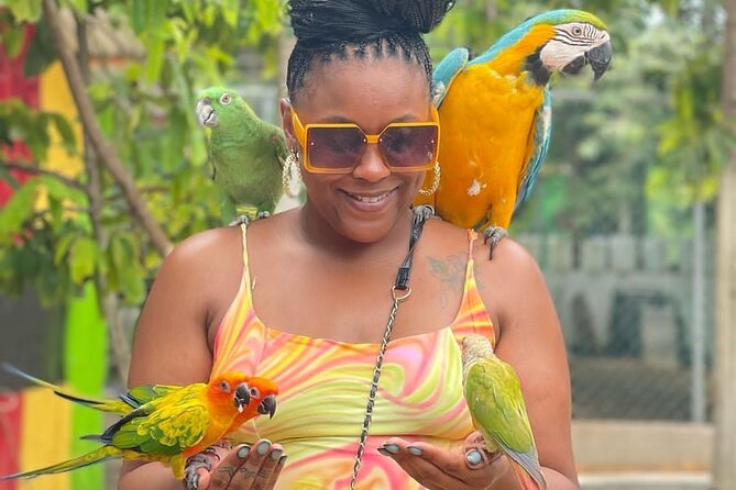 Montego Bay Exotic Herbs, Birds and Animals Interaction Tour - Deep Dive into the Tour Experience