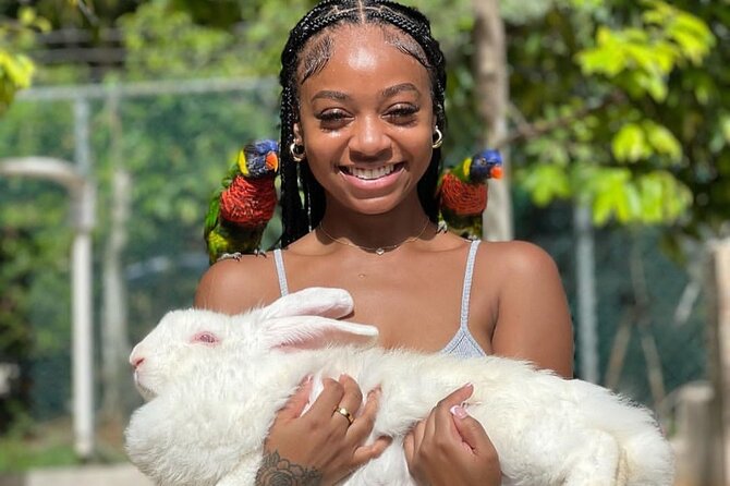 Montego Bay Exotic Herbs, Birds and Animals Interaction Tour - FAQ