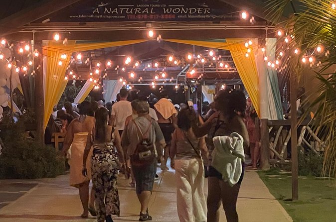 Royal Luminous Lagoon Tour - FAQs About the Royal Luminous Lagoon Tour