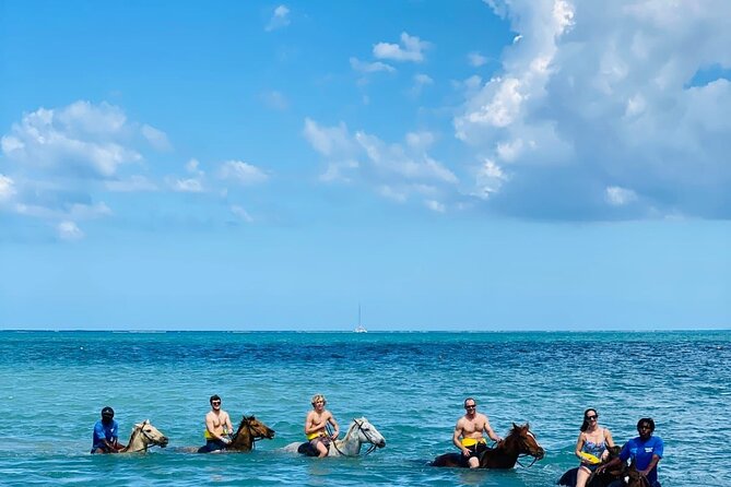 Round Trip Private Transfer from Montego Bay Airport to the City - What to Expect on Your Journey