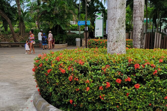 Transportation Dunns River,Blue hole horse back riding day trip - Authentic Experiences and Hidden Gems