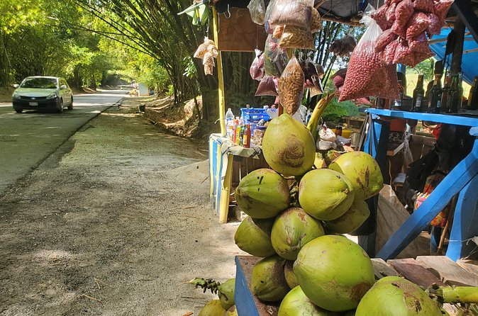 Sight seeing tour through the hills of JAMAICA - FAQ