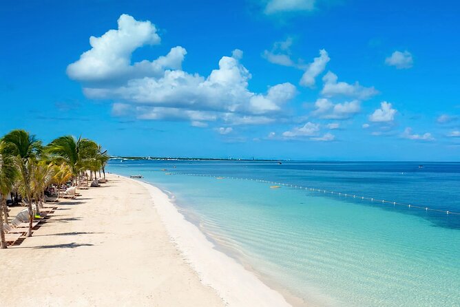 Rick s Café and Seven Mile Beach Private Tour Negril Jamaica - FAQ