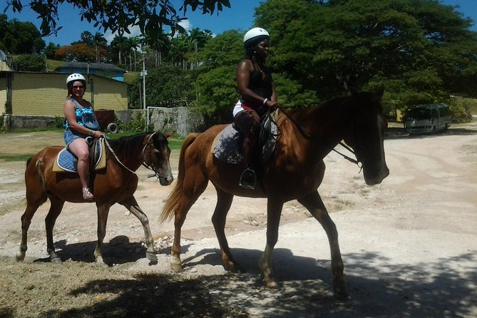 Horseback Riding Dunn's River Falls Adventure from Montego Bay - A Deep Dive into the Experience