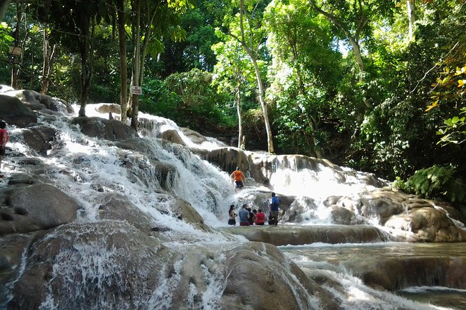 Blue Hole, Dunn's River Falls Luminous Lagoon Excursion From Montego Bay - A Detailed Look at the Tour Experience