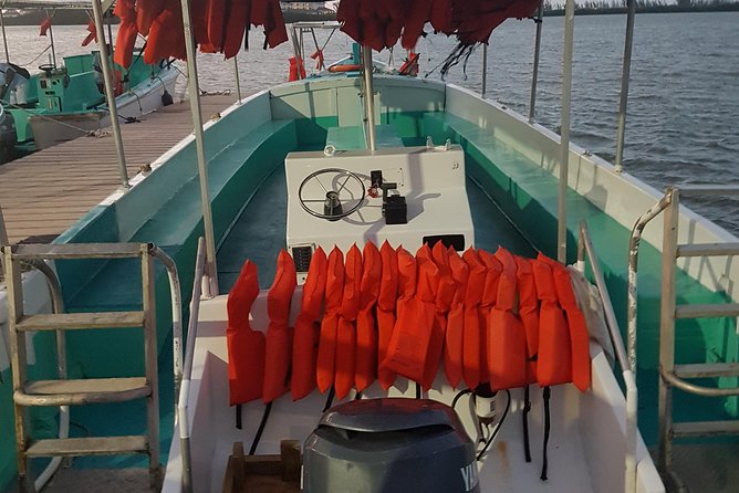 Blue Hole, Dunn's River Falls Luminous Lagoon Excursion From Montego Bay - Who Should Consider This Tour?