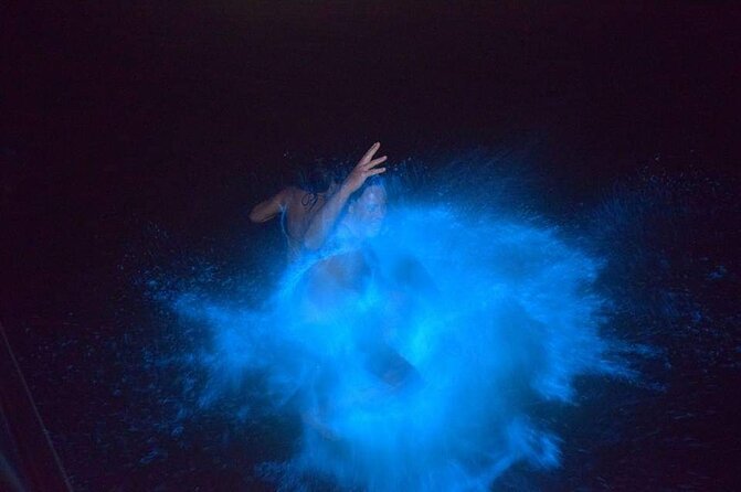 Luminous Lagoon Night Tour - The Sum Up