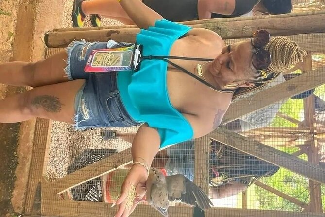 Private Montego Bay Airport Transfer - Authentic Insights from Previous Travelers