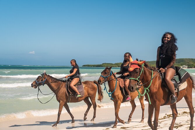 Horseback Riding in Montego Bay - Final Thoughts: Who Is This Tour Best For?