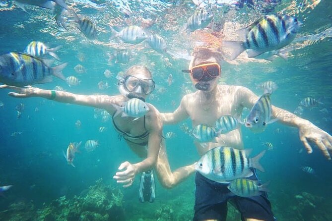 Snorkeling and Shopping in Montego Bay with Hotel pickup - Final Thoughts