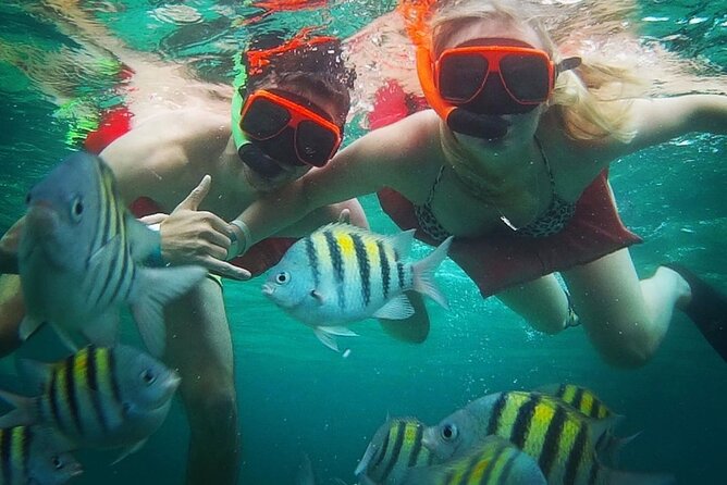 Snorkeling and Shopping in Montego Bay with Hotel pickup - Who Should Book This?