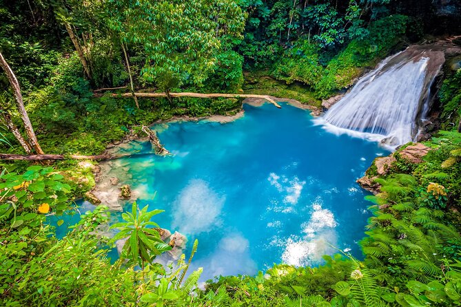 Blue Hole and Dunn's River Falls Tour from Montego Bay Jamaica - An In-Depth Look at the Tour Experience