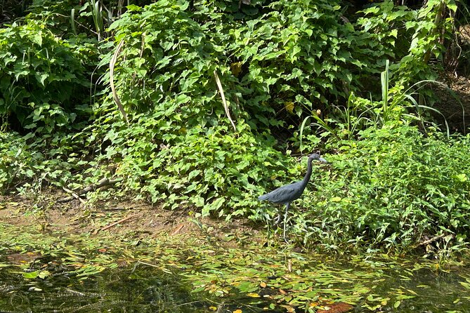 Great River Bamboo Rafting Adventure with Shopping - FAQ