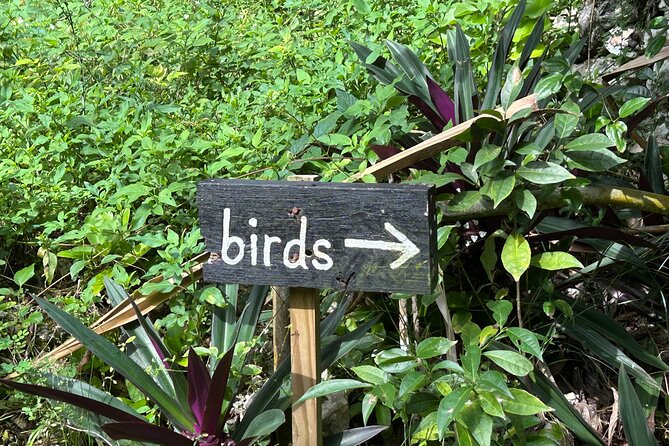 Rocklands Bird Sanctuary & St James Parish Church - Who Would Enjoy This Tour?