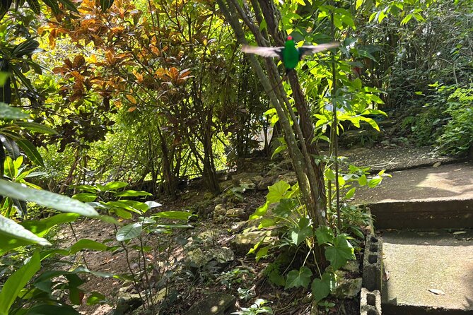 Rocklands Bird Sanctuary & St James Parish Church - FAQ