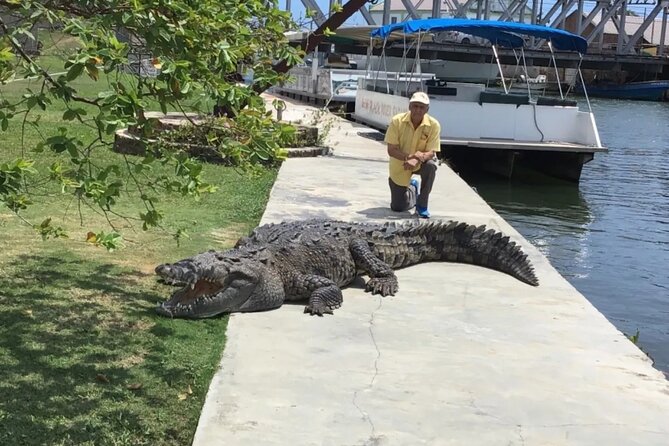 South Coast Tour to YS Falls, Black River Safari and Appleton Rum - Who Should Consider This Tour?