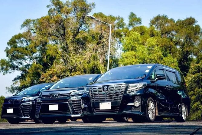 Private Roundtrip Airport Transfer to Resorts in Runaway Bay - The Experience: An In-Depth Look at the Private Transfer from Montego Bay to Runaway Bay