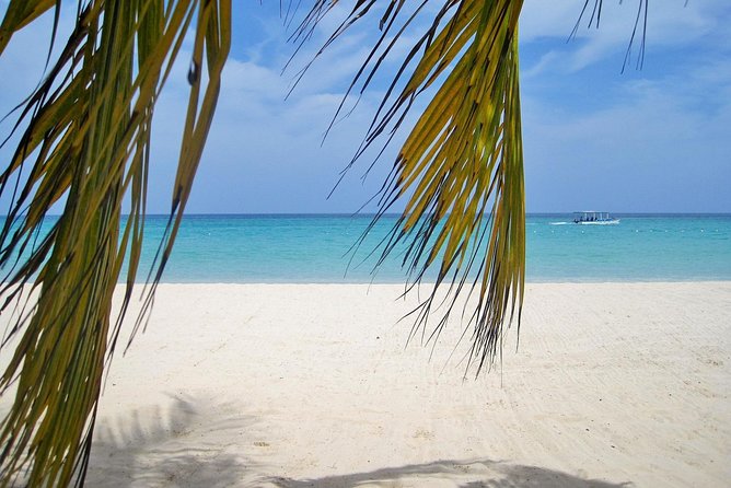 Negril Beach & Ricks Cafe from Montego Bay - What’s Included, and What’s Not