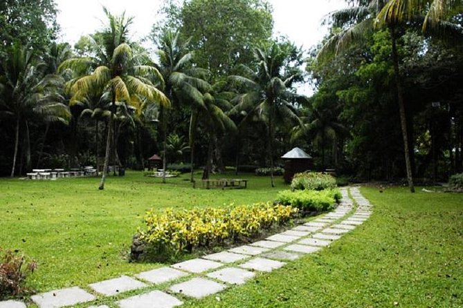 Montego Bay to Dunn's River Falls Half-Day Trip - Final Thoughts