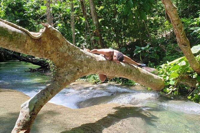 Mayfield Falls Tour with Lunch, drink, Entry & Transp(Original) - Frequently Asked Questions