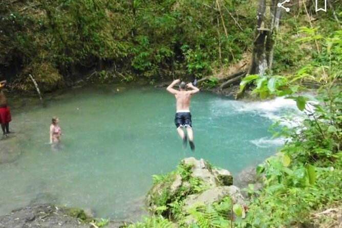 Mayfield Falls Tour with Lunch, drink, Entry & Transp(Original) - Final Thoughts: Why This Tour Stands Out