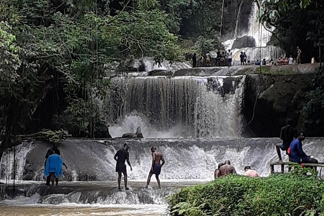 Pelican Bar, Appleton Rum Tour, YS Falls Jamaica south coast experience Montego - FAQ