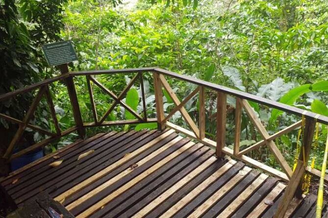 Caribbean Odyssey Tour - Key Points