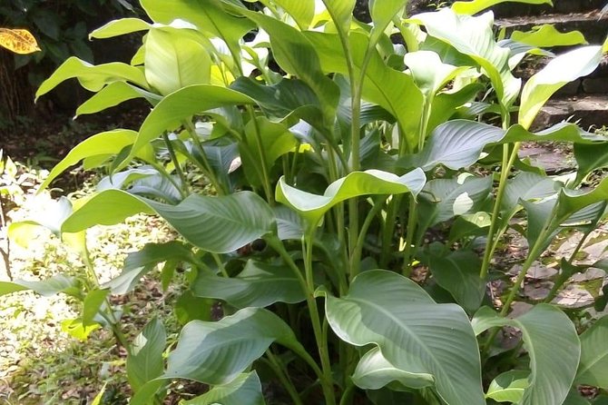 Pirates and Beach Tour with Detention Tours - Key Points