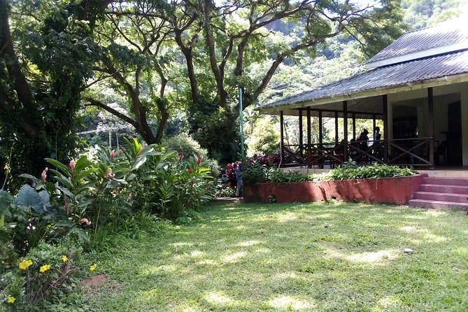 Pirates and Beach Tour with Detention Tours - Who Should Consider This Tour?