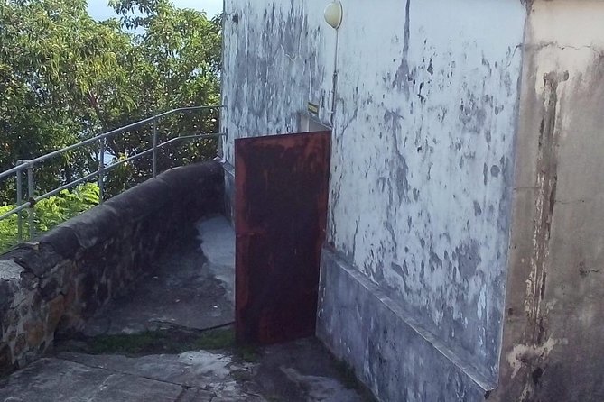 Fort Charlotte, Botanical Gardens and Kingstown Tours with Detention Tours - Who Should Consider This Tour?