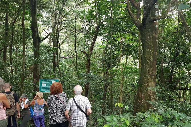 Vermont Nature Trail Hike - In-Depth Review of the Vermont Nature Trail Hike