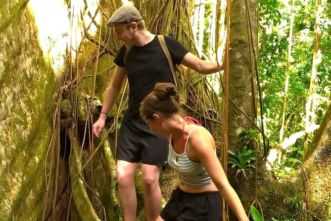 Vermont Nature Trail Tour with Fraser's Taxi and Tours - What the Reviews Say