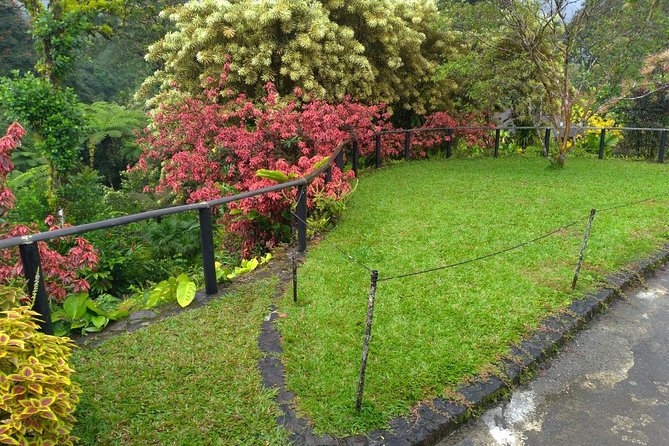 The Montreal Garden Tour with Fraser's Taxi and Tours - Who Will Love This Tour?