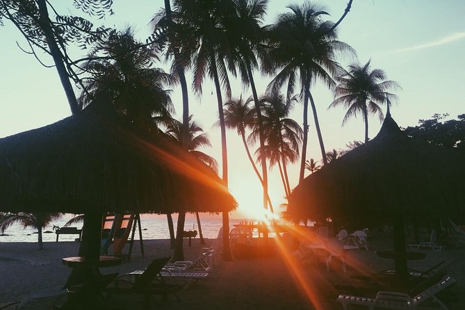 Transfer from Port au Prince international Airport to Hotels in Port au Prince - Practical Details and Booking