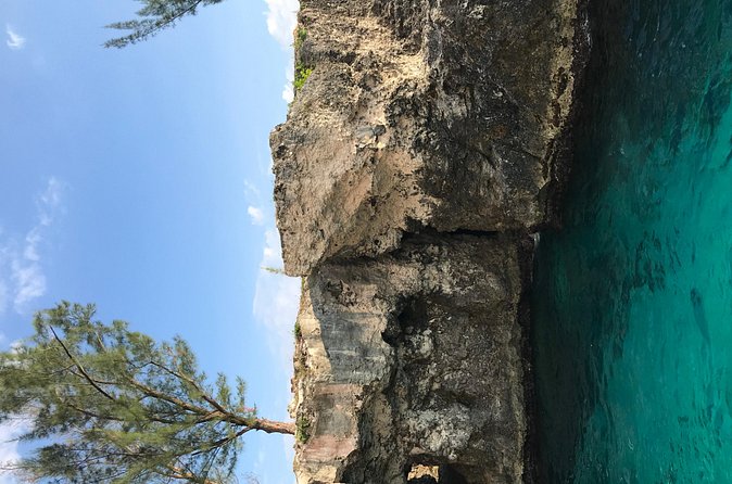 Hotel transfer from negril to Montego Bay - Why This Transfer Works Well for Travelers